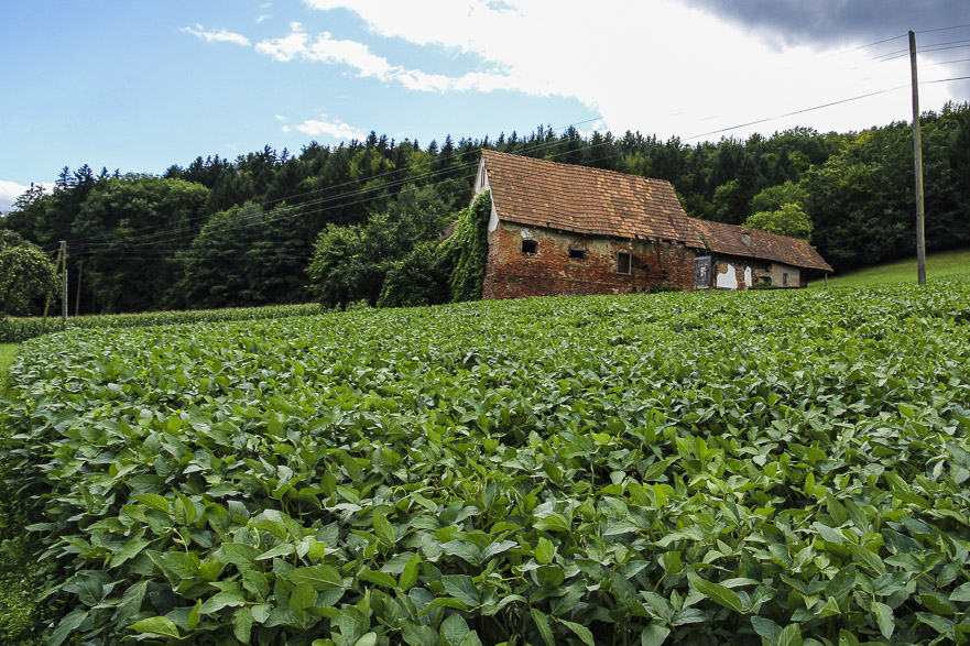 Murradweg südlich von Graz