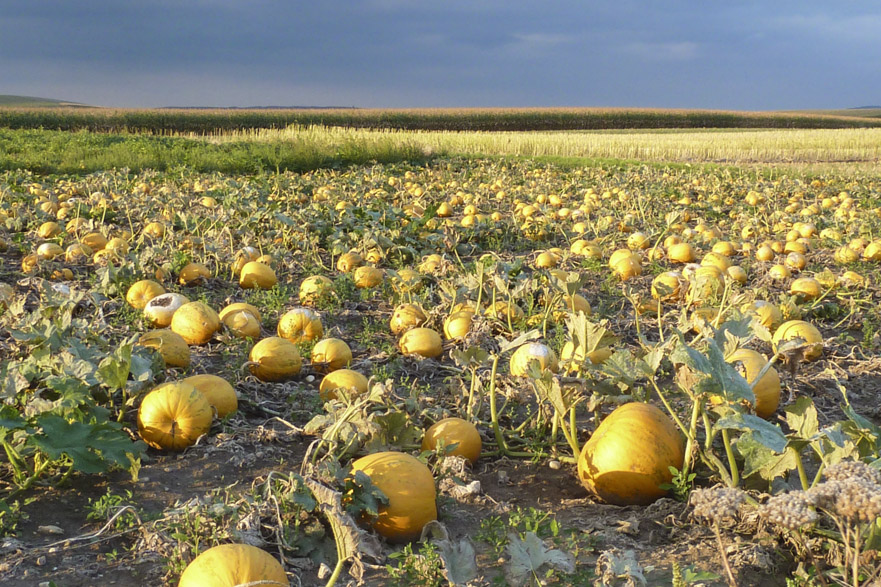 Abendessen in der Stadt