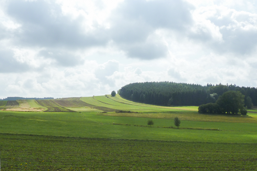 Zwettl – Krems: Kamptal und Wachau