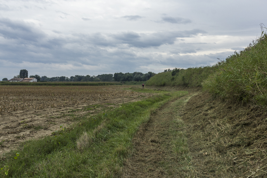 Am Damm des Flusses Parma – dicht bewachsen, kaum Blick aufs Wasser