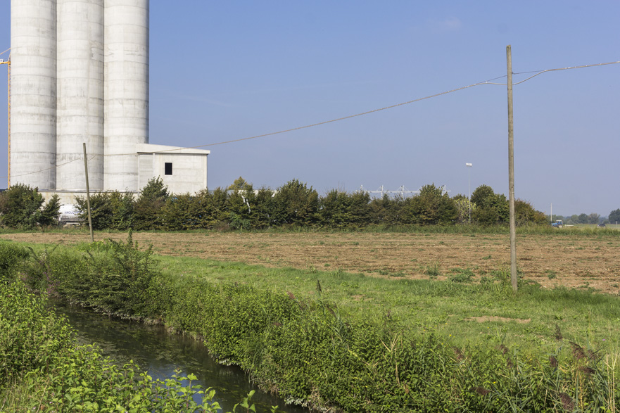 Früher Morgenspaziergang durch Parma – der Wochenmarkt wird aufgebaut