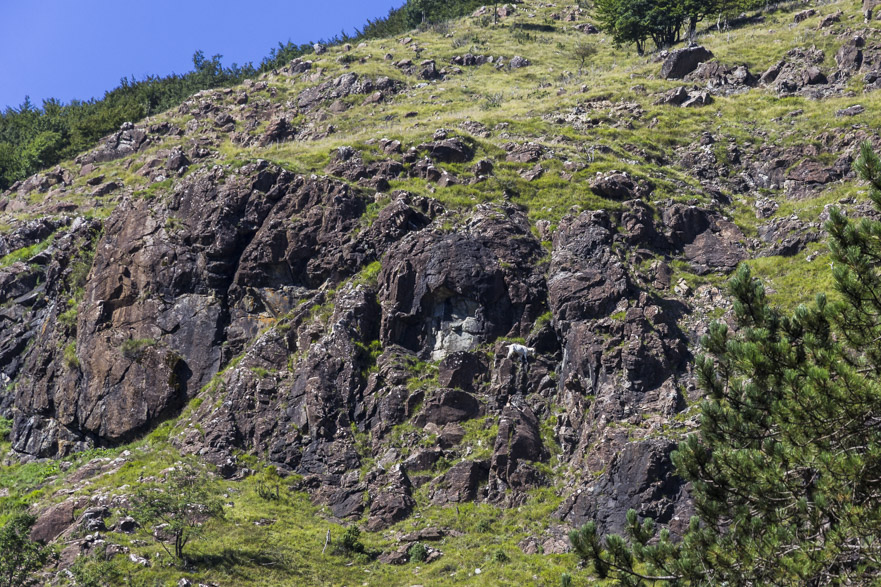 Das Aveto-Tal weitet sich – ruhiges, klares Wasser