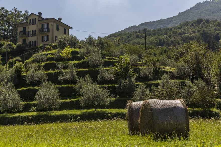 Abstieg ins Lavagnatal – Richtung Süden, Richtung Meer