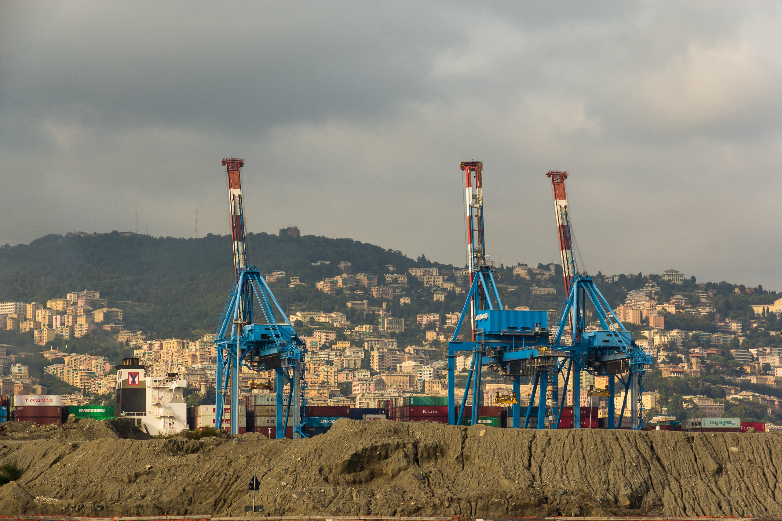 Containerterminal mit Portalkränen vor der Stadtkulisse