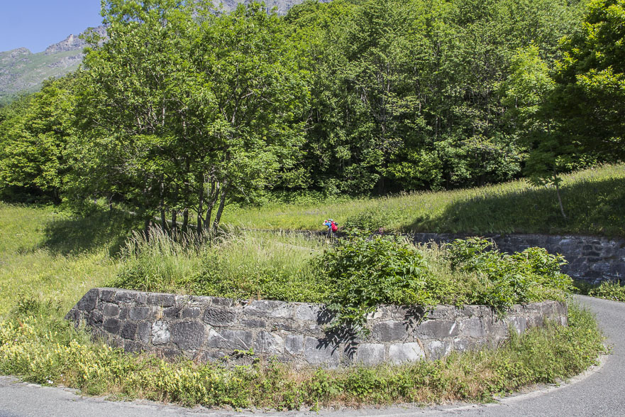 Steile Kehren beginnen – Gebüsch, Wald, Blumenwiesen, nackter Fels
