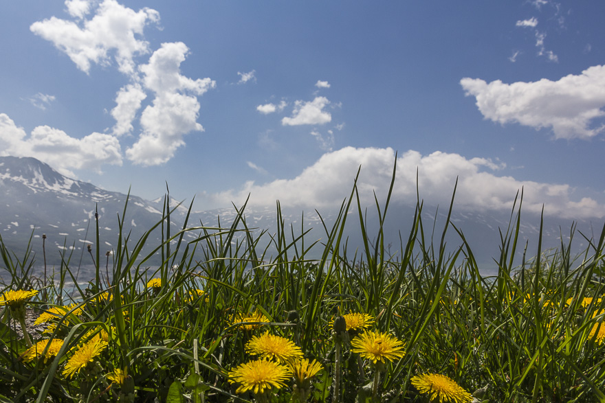 Abendessen nach 17 Stunden Fahrtzeit