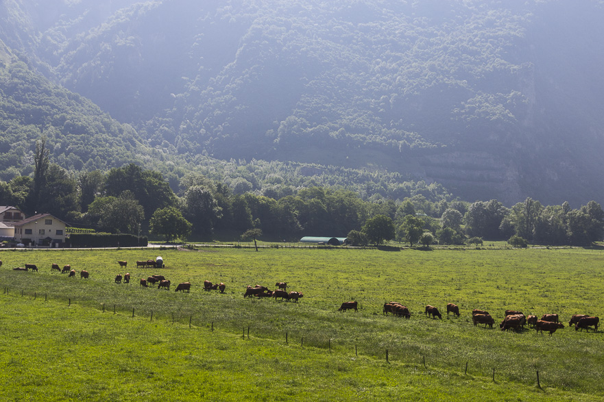 Schöne Fahrt auf Nebenstraßen zwischen Felswänden und Burgruinen