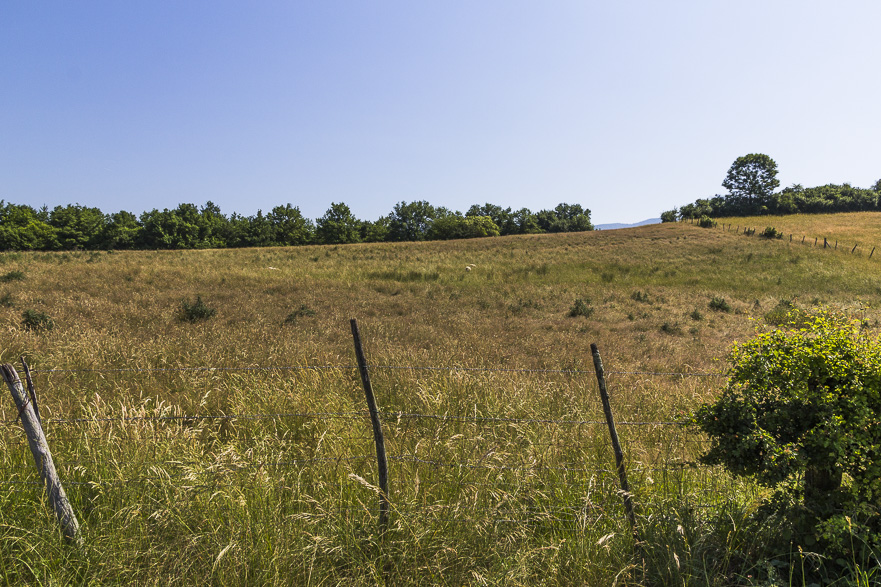 Mittagsrast: Menü mit Wein um 13,50 Euro