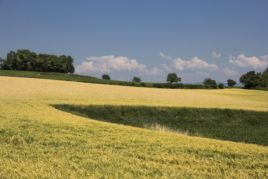 Hotel Bayard – das teuerste Quartier der Reise