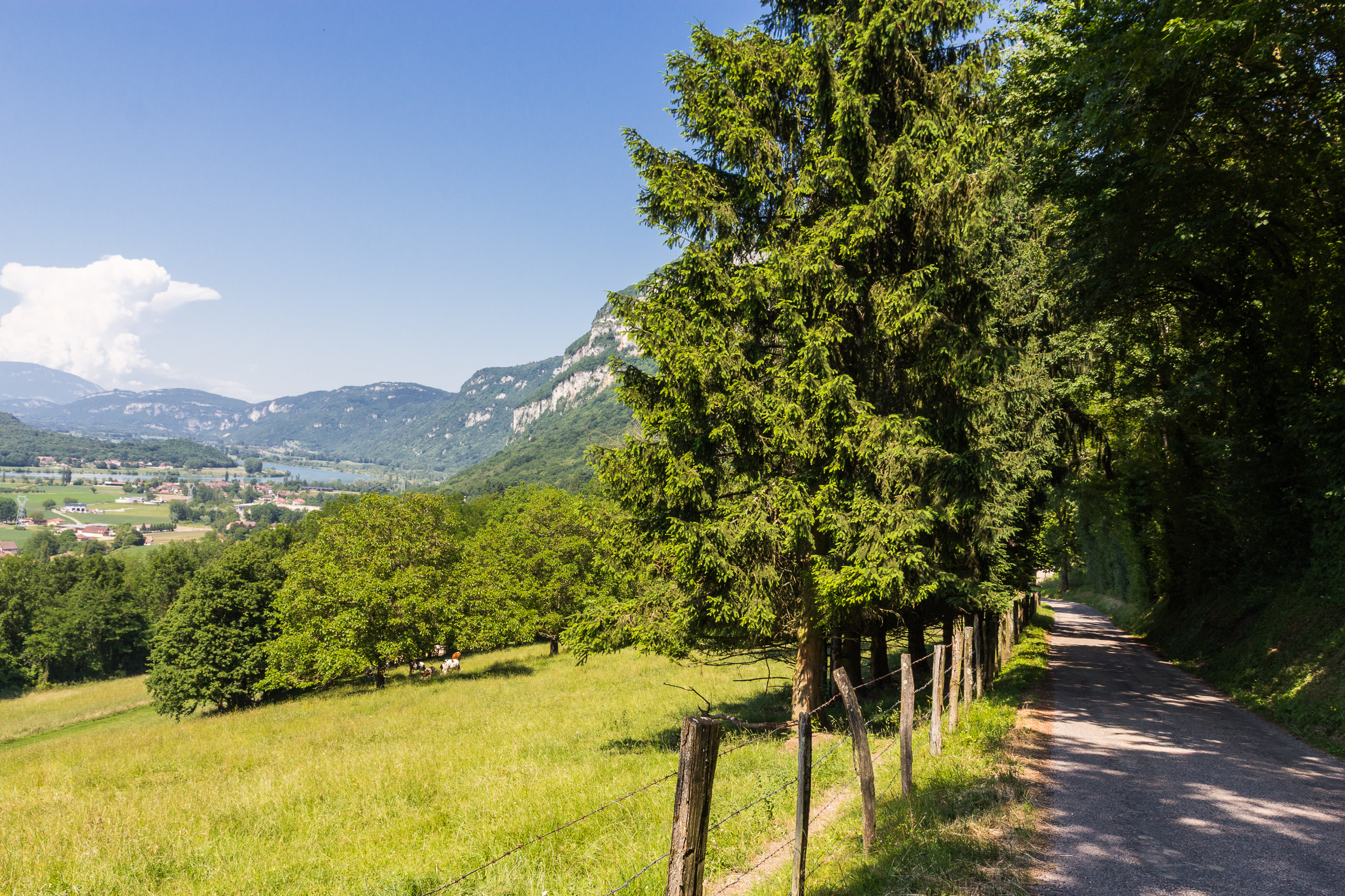 Nebenstraße mit Blick auf den Lac d'Aiguebelette
