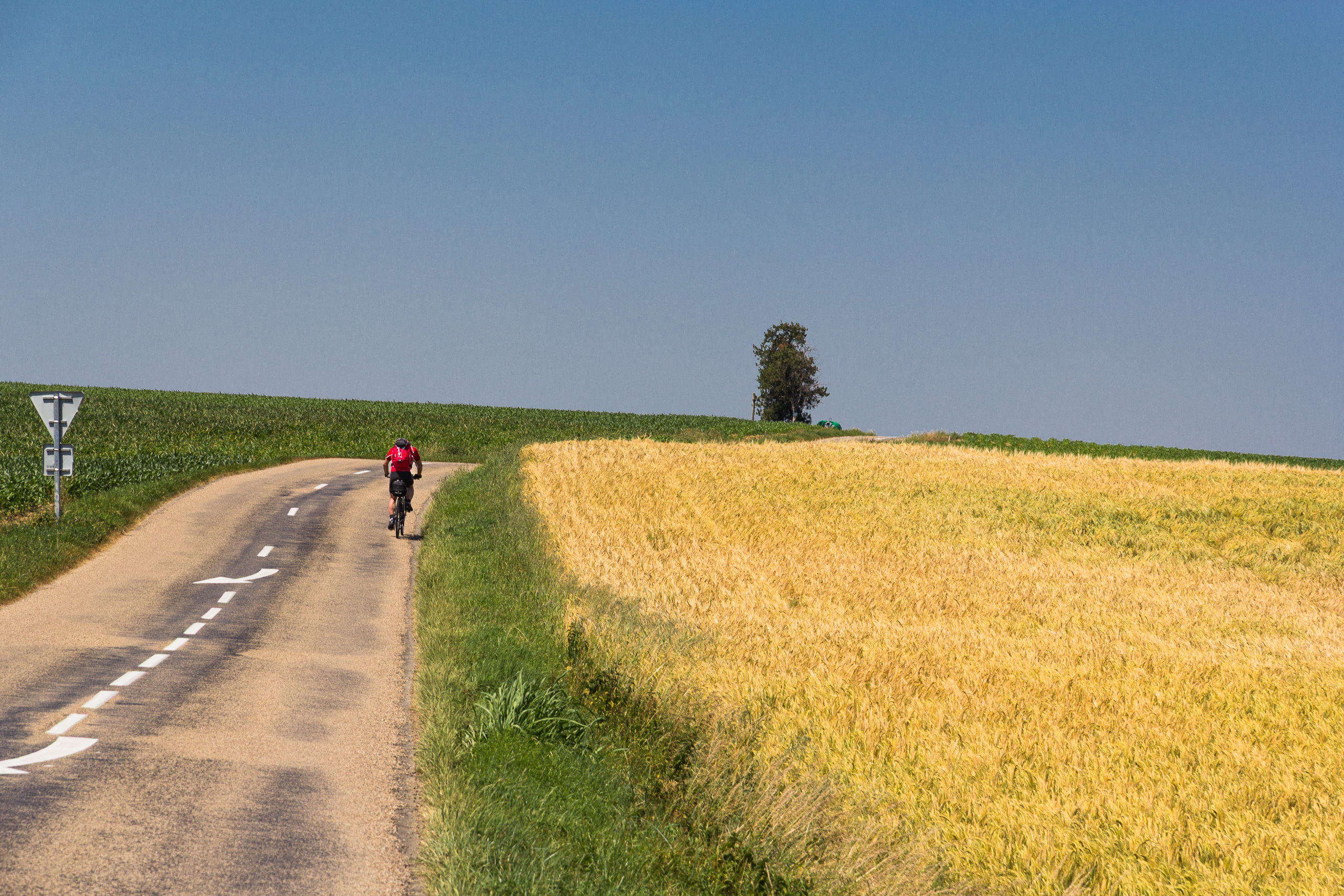 Landstraße neben reifem Getreide – die letzten Kilometer nach Lyon