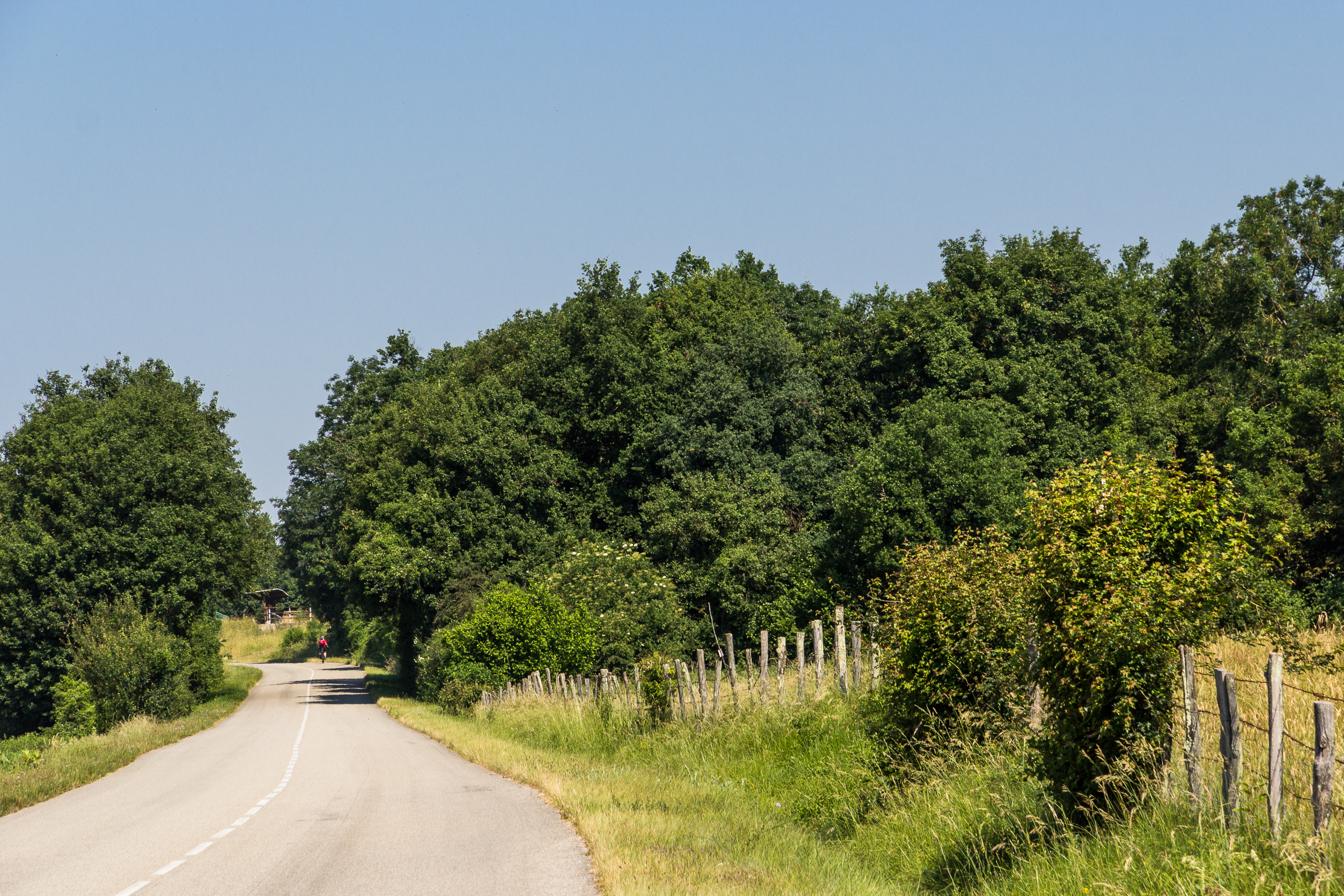Einsame Landstraße durch Hecken und Eichenwälder