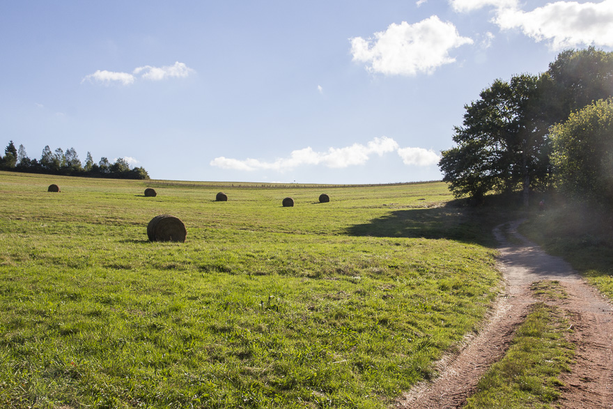 Aufbruch aus St-Dié – erst um 10 Uhr, das Hotel in Straßburg war voll