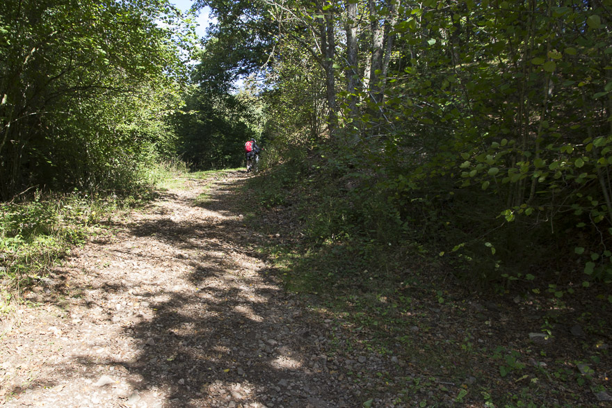 Eisiger Wind, kalt – die Kalbsnieren in Armagnac-Sauce in Obernai werden es richten