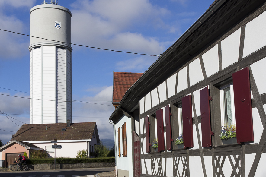 Gemütlicher Start – zuerst Maisfelder, dann Weinberge