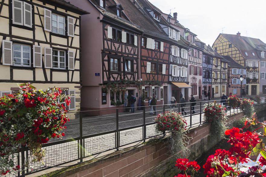 20 Personen auf Bierbänken beim Mittagessen am Weingarten