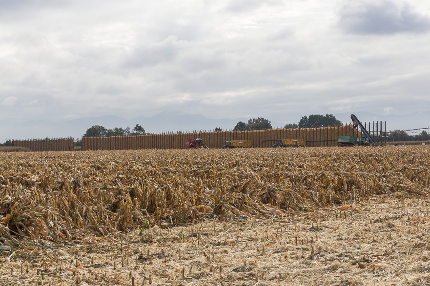 Aufbruch aus Colmar – stark bewölkt, aber kaum Wind