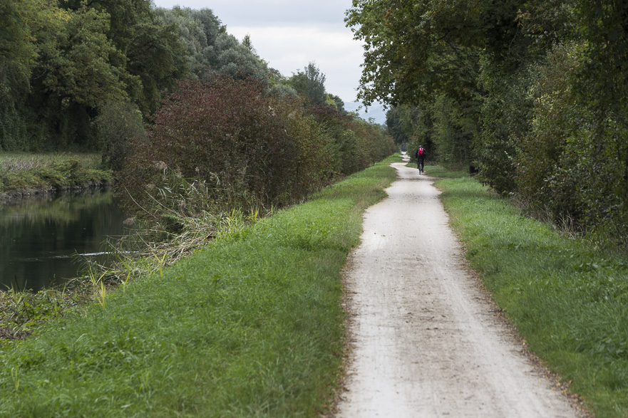 Colmar – Basel: Durch die Petite Camargue alsacienne