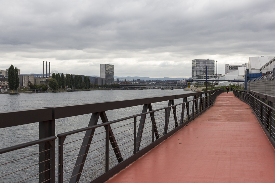 Petite Camargue alsacienne – Naturschutzgebiet mit vielfältiger Vogelwelt