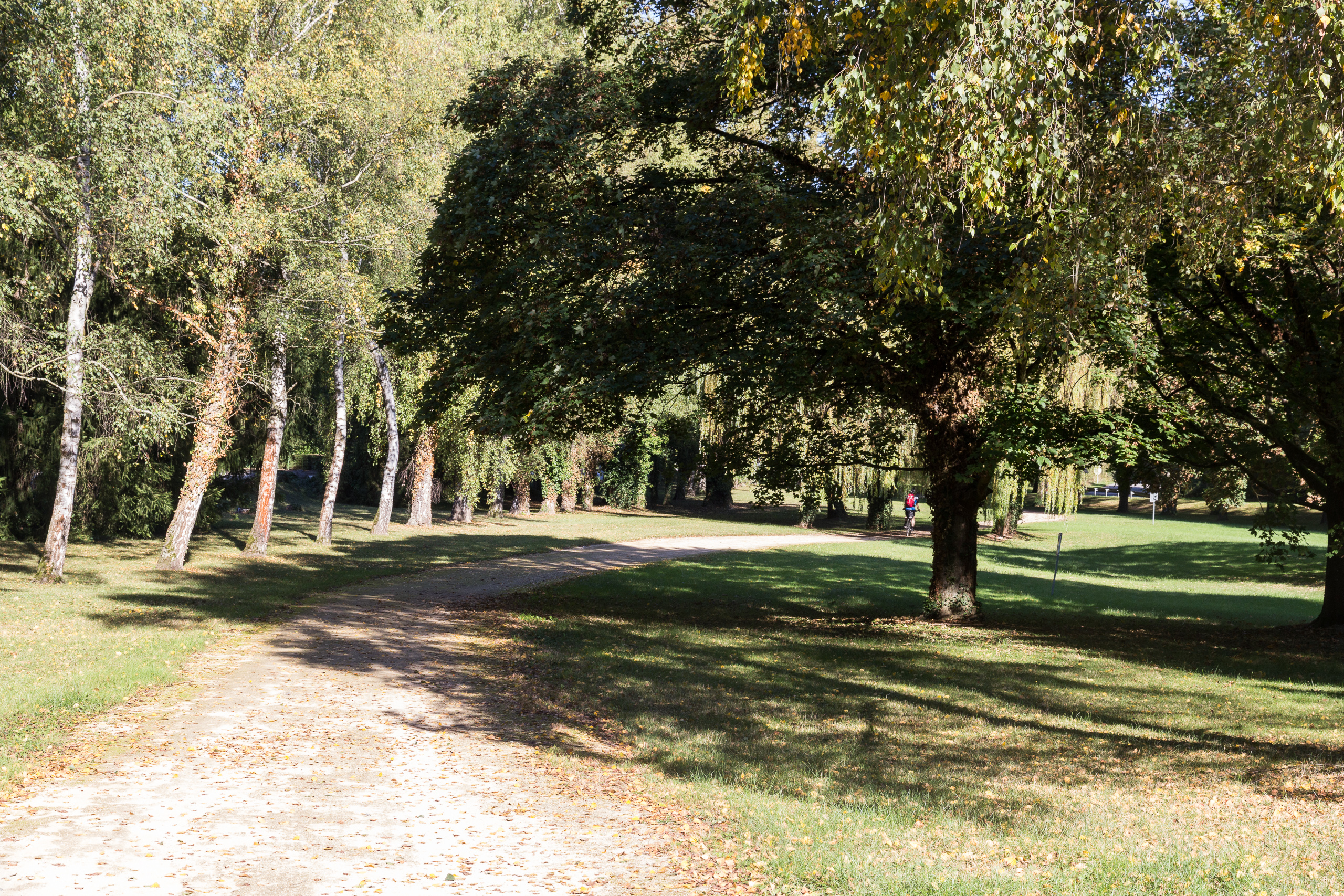 Kiesweg durch den Park – Herbstlaub unter alten Bäumen