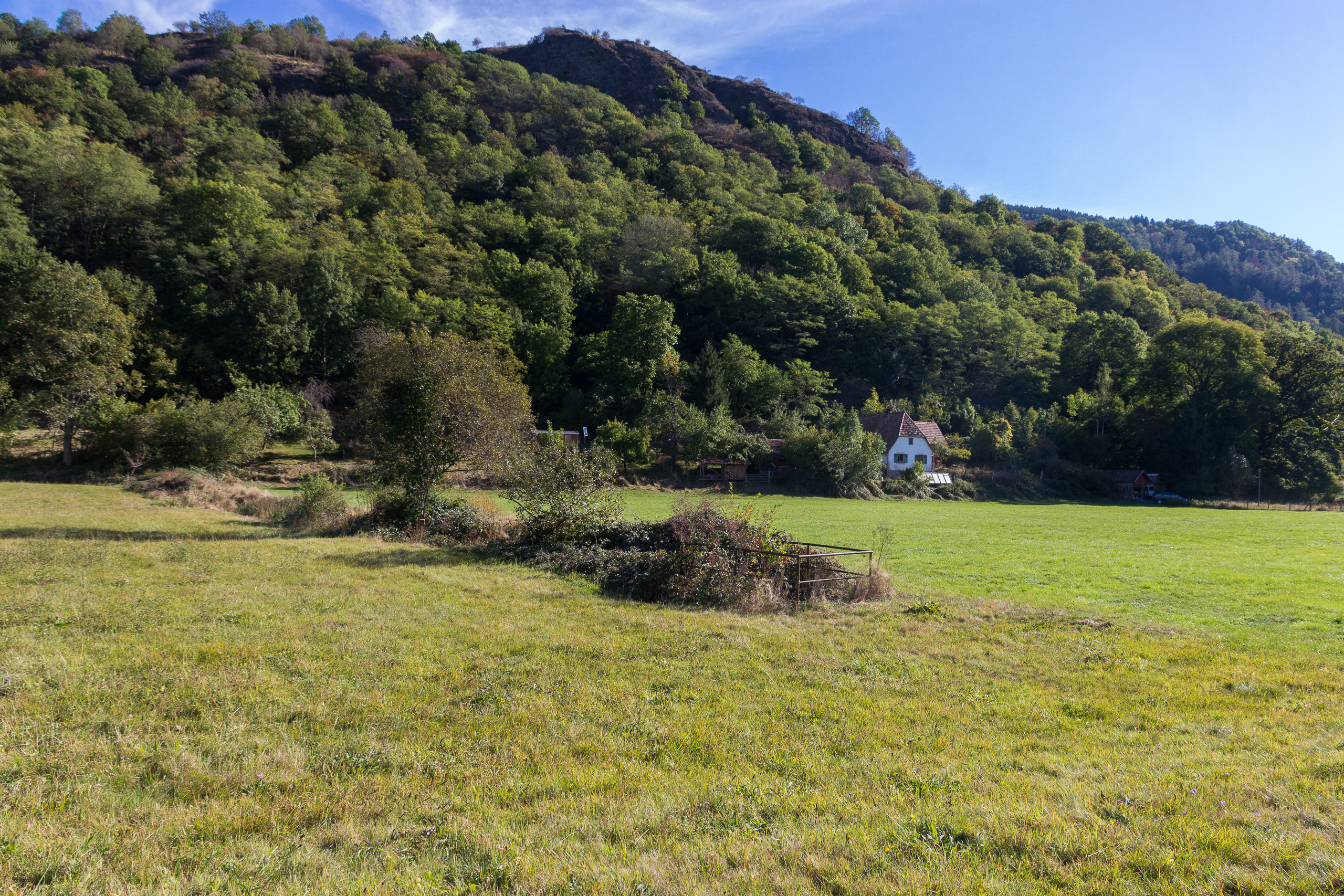 Einzelnes Haus am Waldrand unter dem bewaldeten Hang