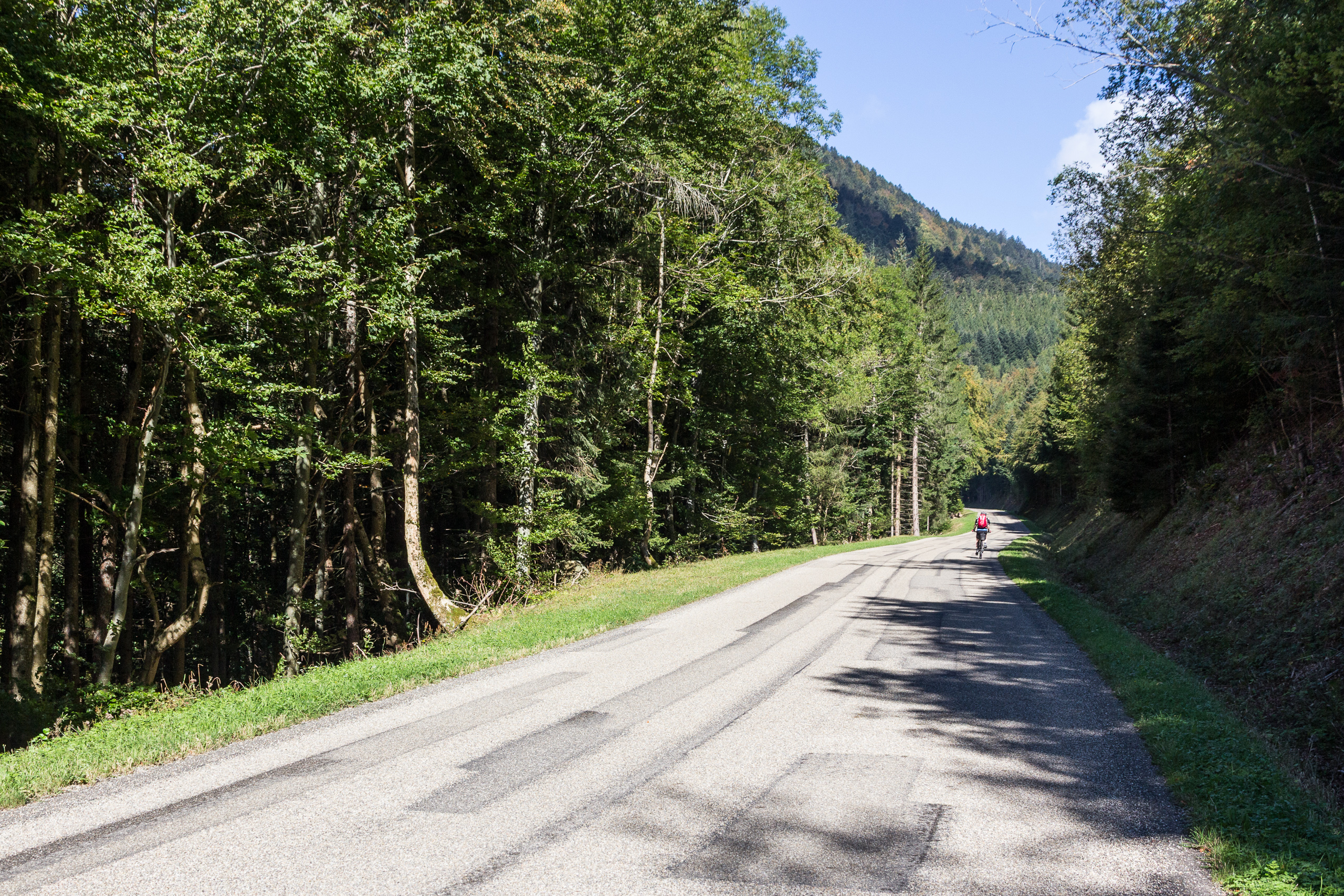 Anstieg durch den Wald – der Vordermann schon weit voraus