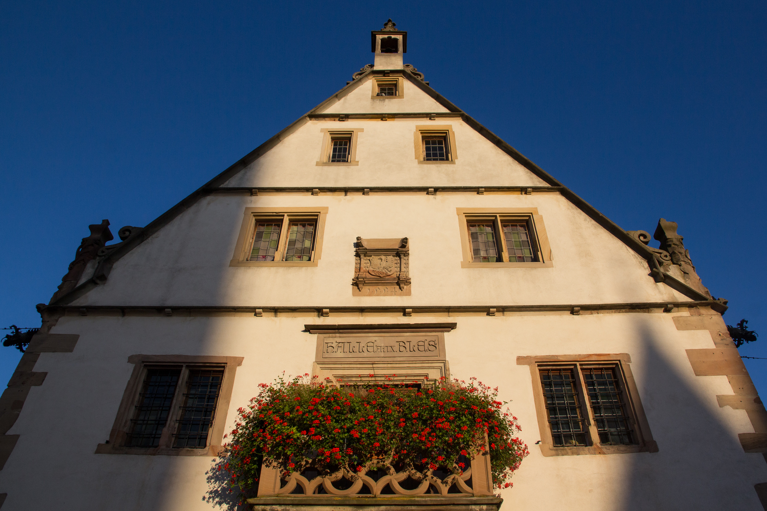 Die Halle aux Blés von 1554, Geranien über dem Portal