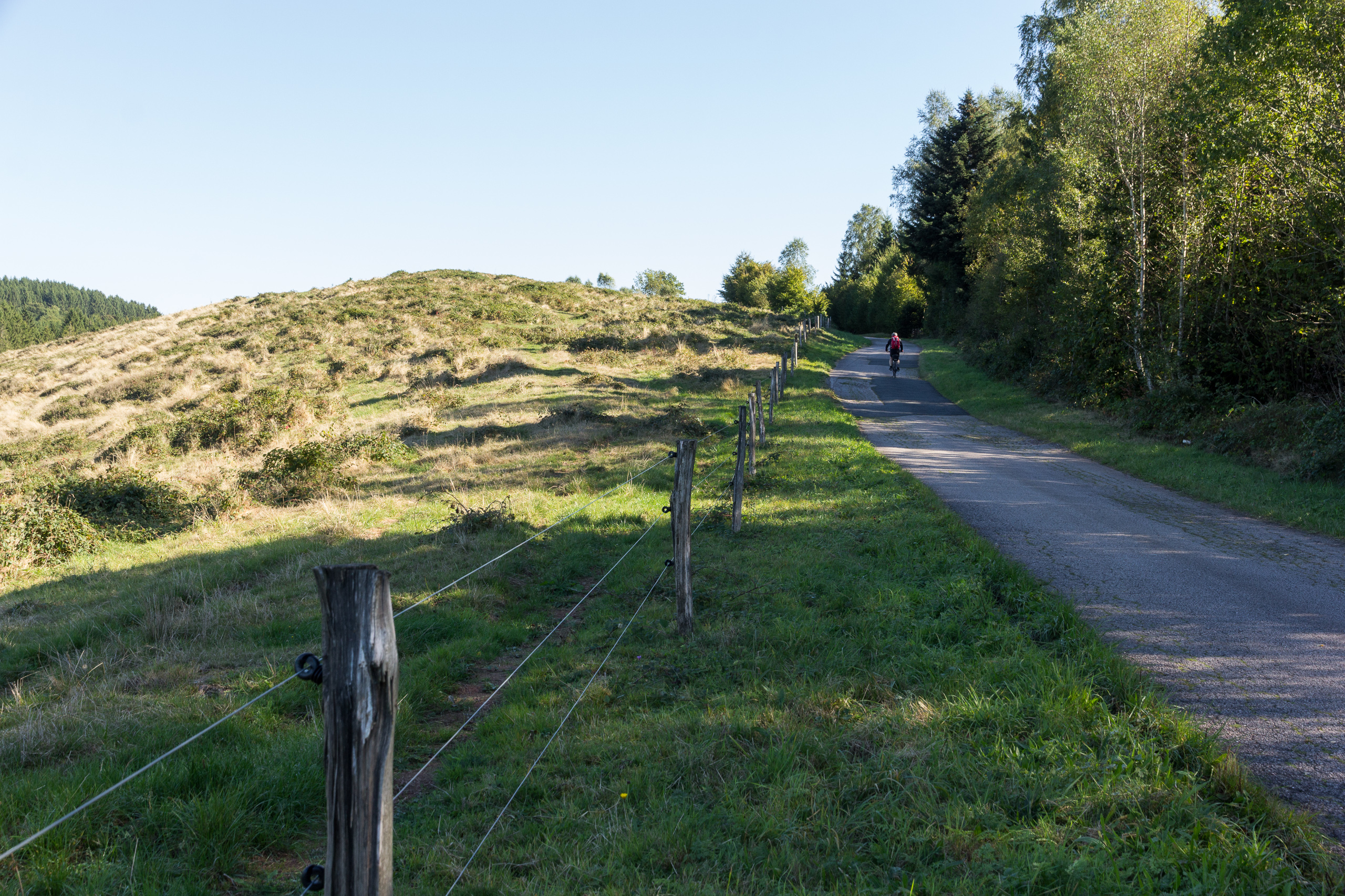 Schmale Straße am Hang, links der Weidezaun aus Holzpfosten