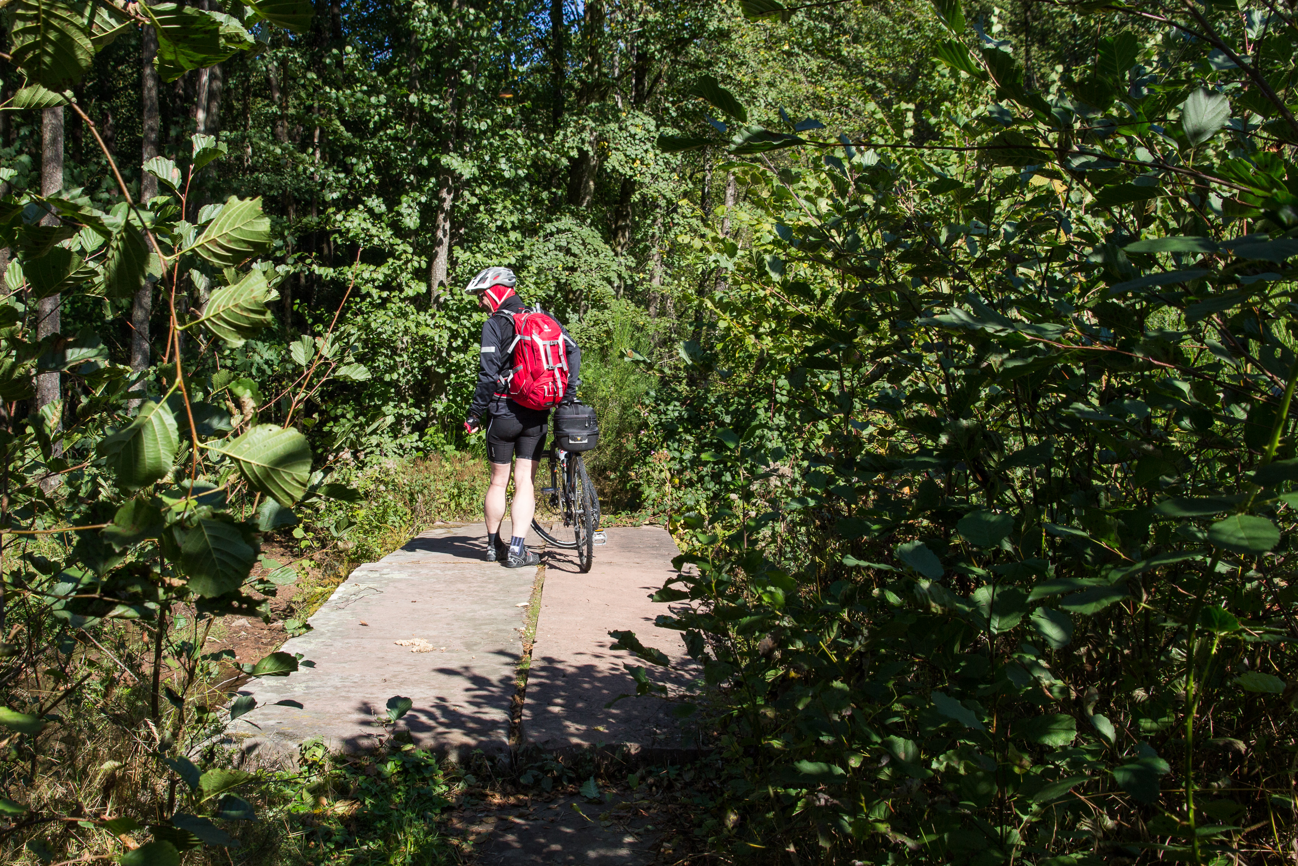 Betonbrücke mitten im dichten Wald – Orientierungspause