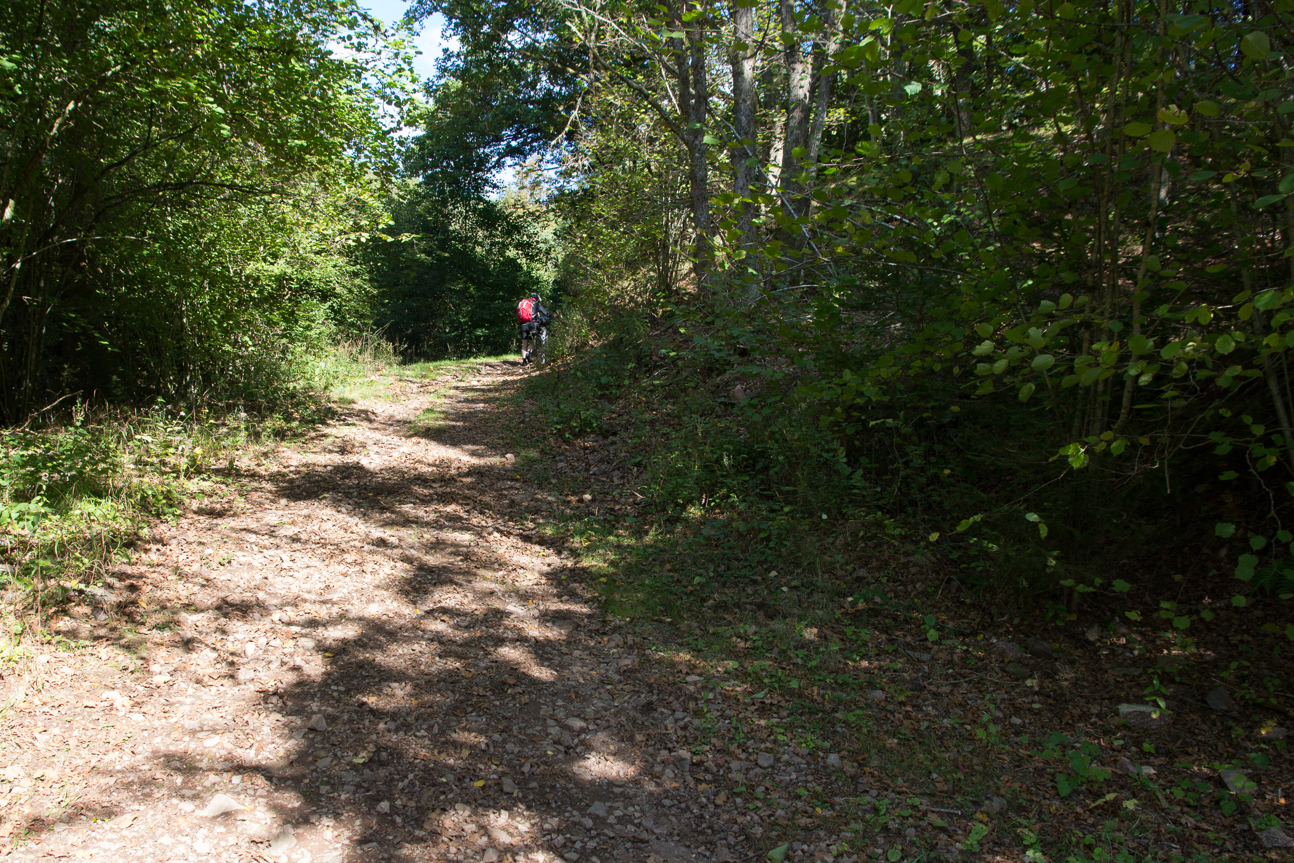 Steiniger Waldweg bergauf – hier wird geschoben