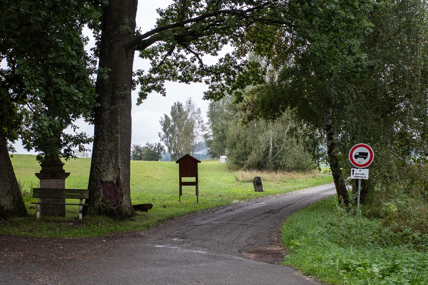 Viehwirtschaft dominiert die Landschaft