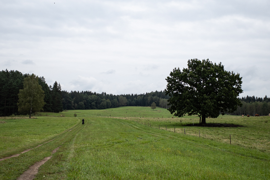 Verlassen des E13-Schildes – Umkehr nötig