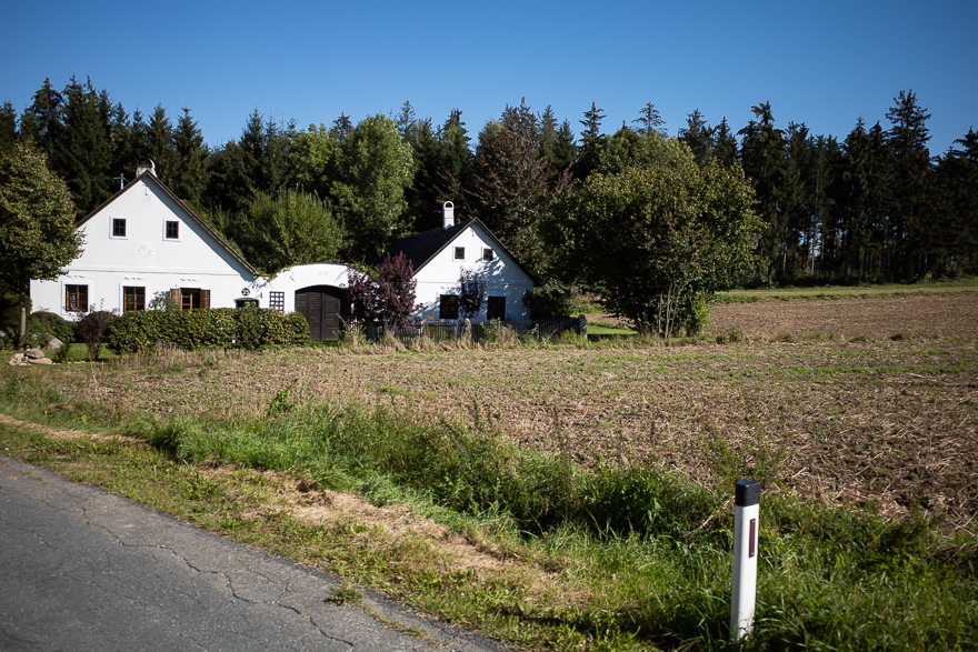 Hügeliges Waldviertel im Morgenlicht
