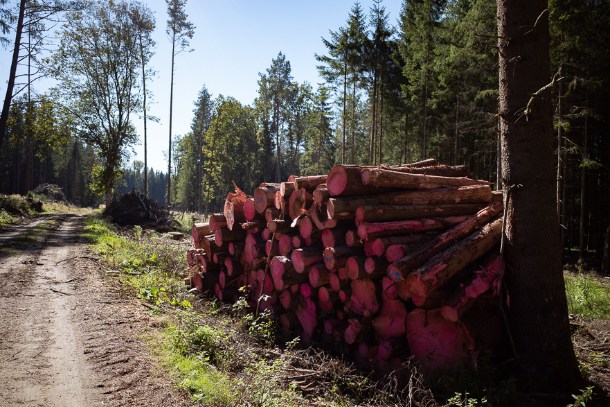Große Felder und Wind