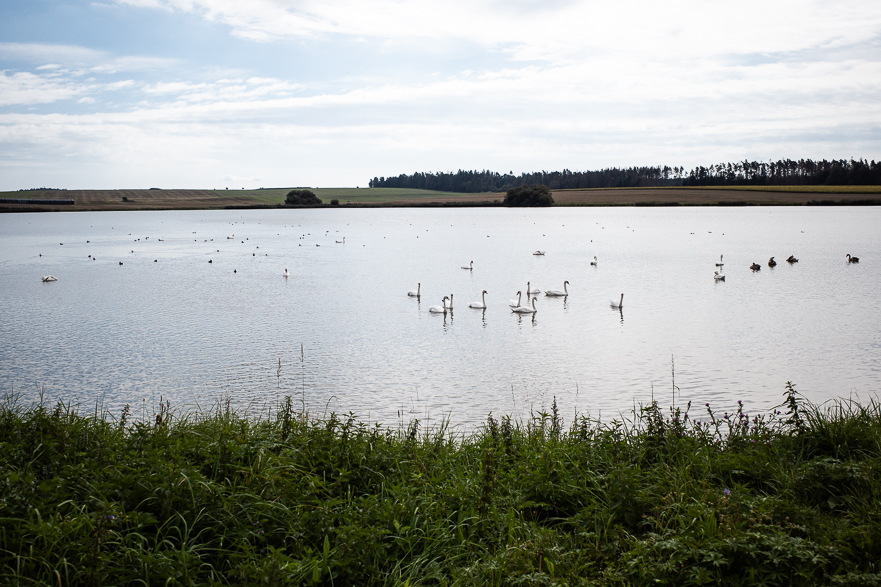 Großes Schloss in Uherčice