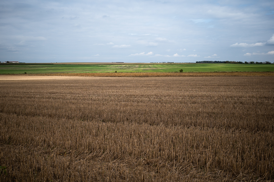 Gutshof mit Schießscharte