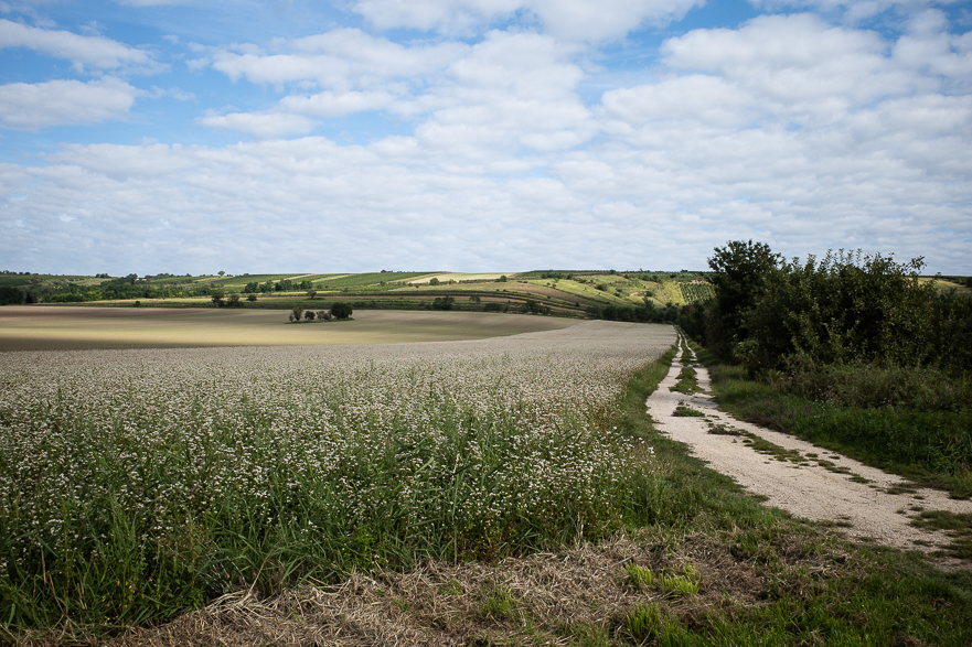 Aufbruch in Seefeld-Kadolz – es ist 10 Uhr