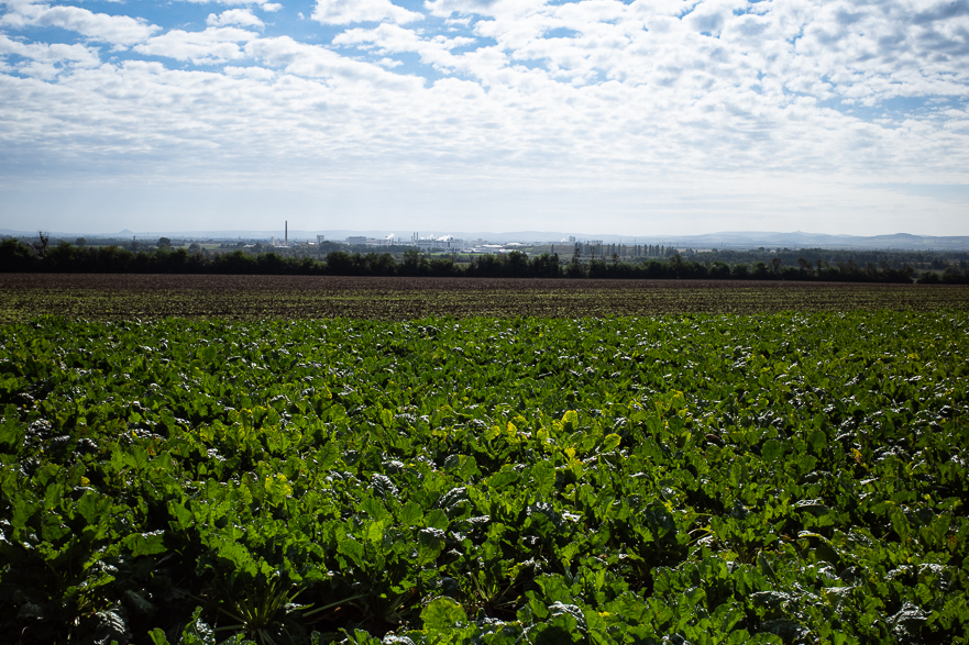 E13 zwischen großen Feldern