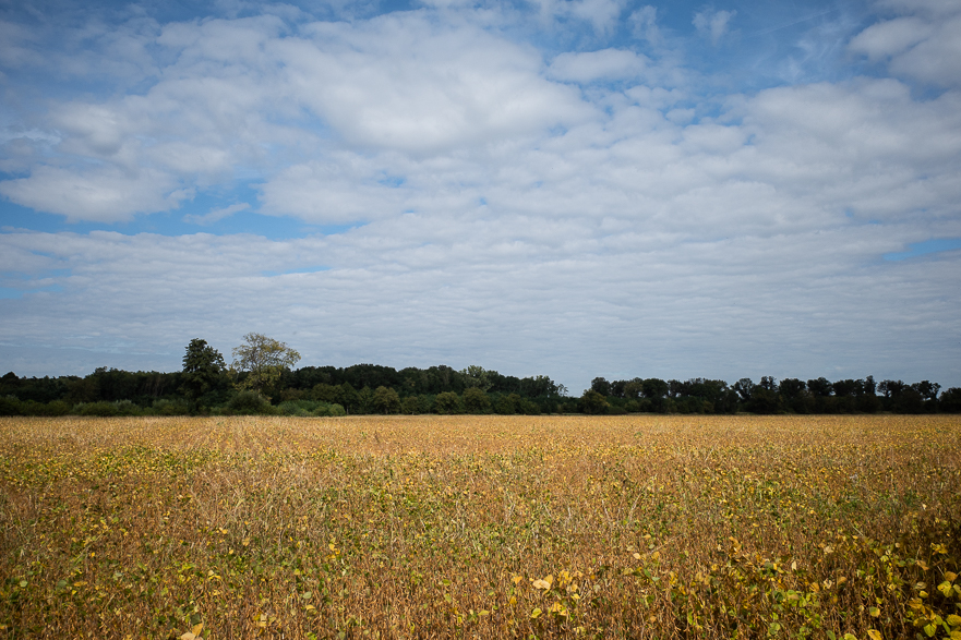 Laa an der Thaya – größer als erwartet