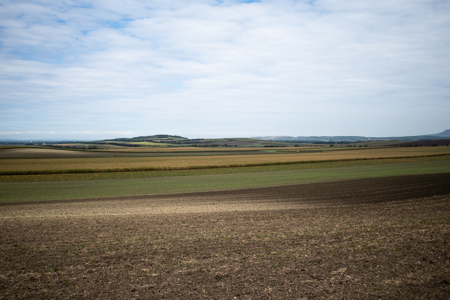 Valtice – gepflegt und wohlhabend