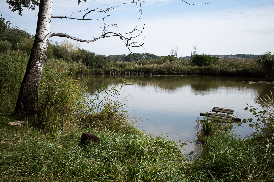 OMV-Ölförderpumpen bei Bernhardsthal