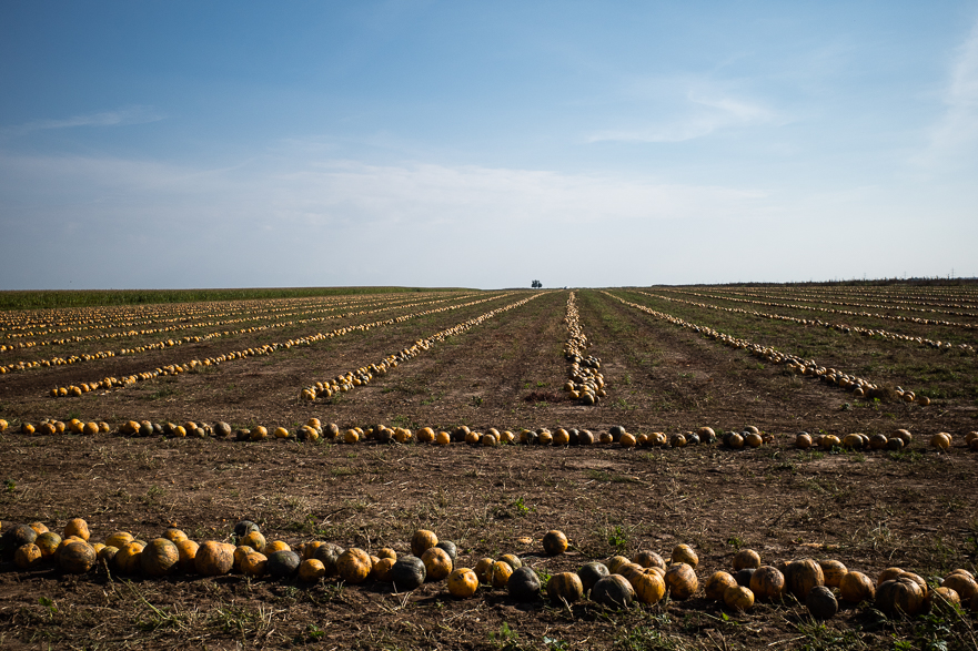 Unasphaltierte Wege vor Hohenau