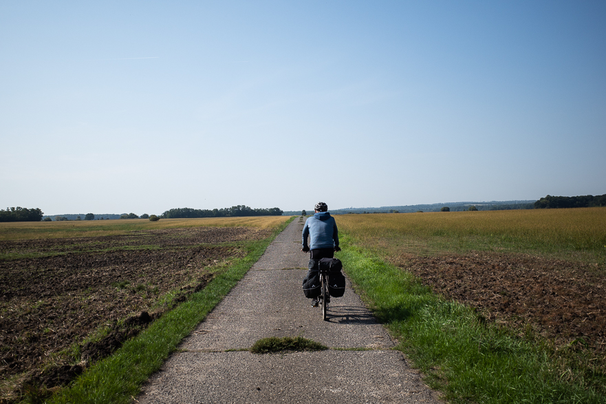 Rübenfeld – 600 Meter lang