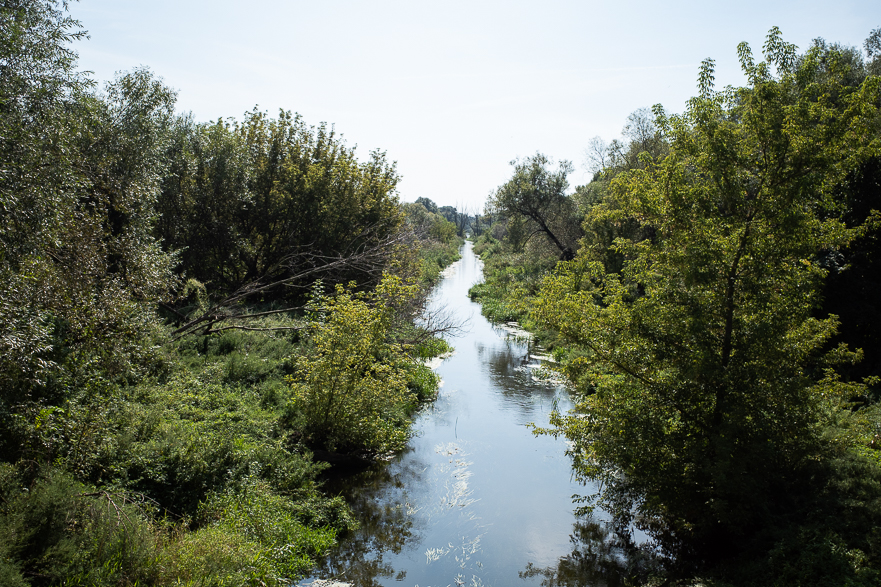 Schotterweg entlang der March