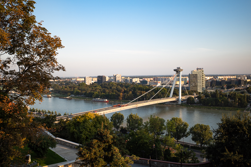 Auwald-Radweg mit wurzelgehobenem Asphalt